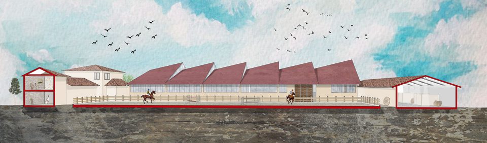 Horse Ridding Field in Cattle Farm by OOIIO Architecture