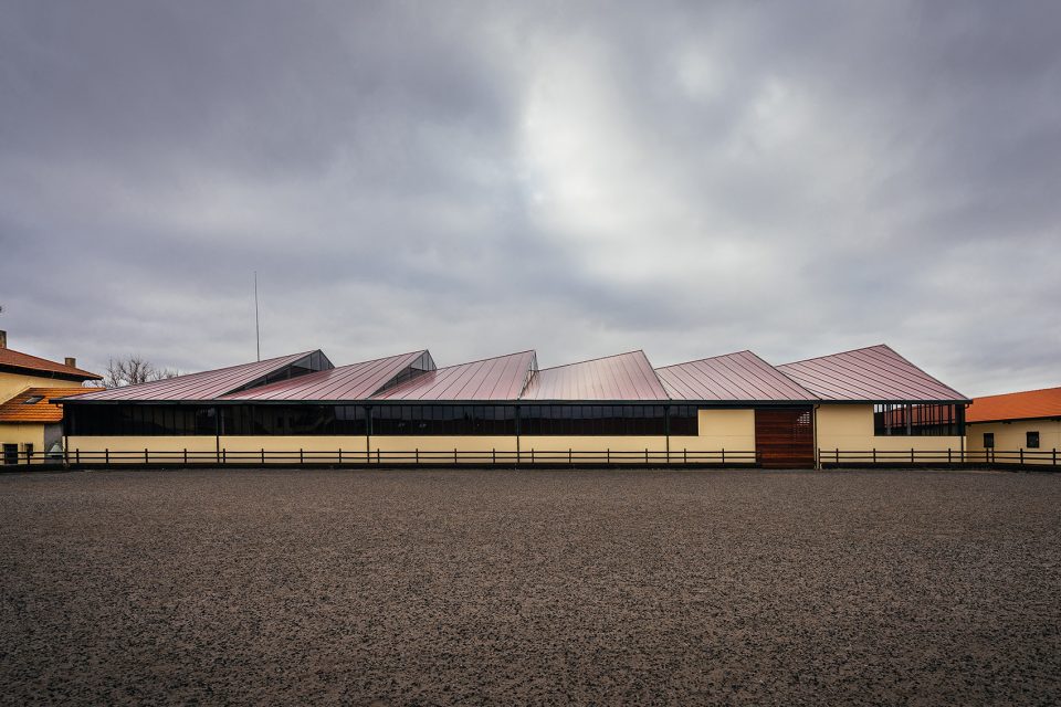 Horse Ridding Field in Cattle Farm by OOIIO Architecture