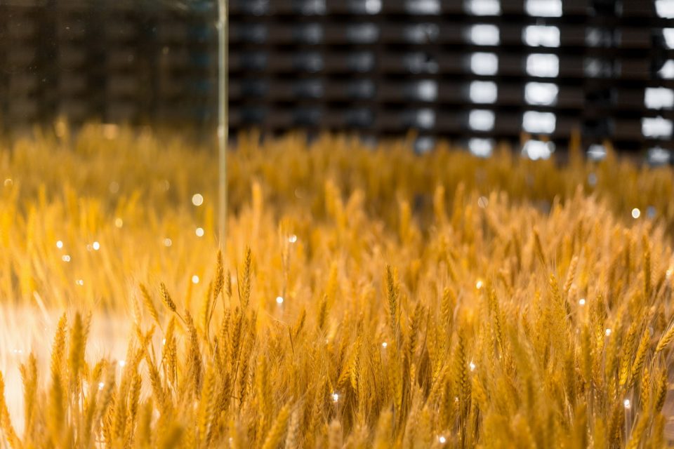Jisushe Pavilion 2017 Guangzhou Design Week by Jisushe