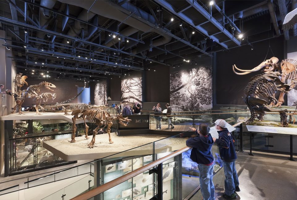 Natural History Museum of Utah by Ennead Architects