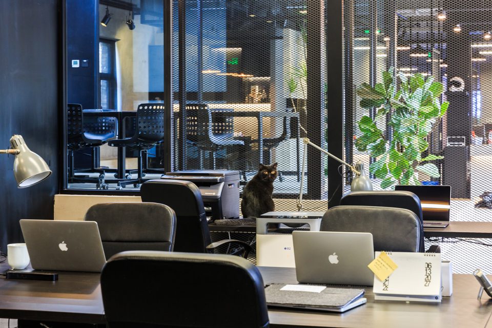 WMY Office China by Within Beyond Studio