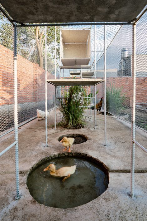 Chicken House by Tropical Space