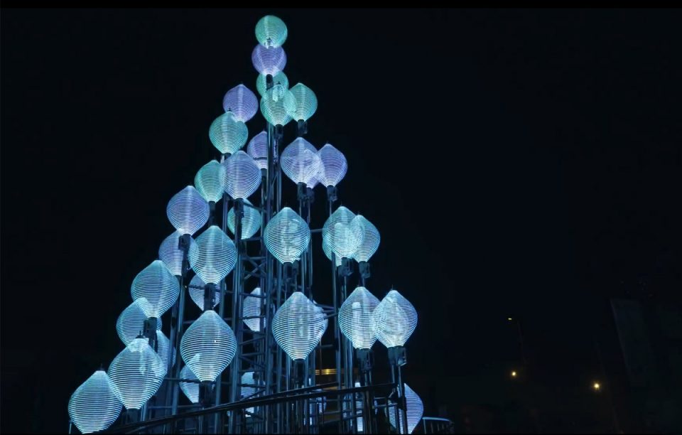 Dandelion Whyixd