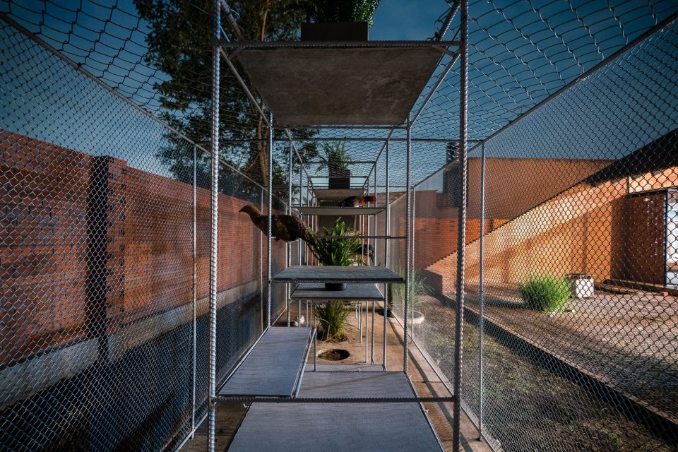 Chicken House by Tropical Space