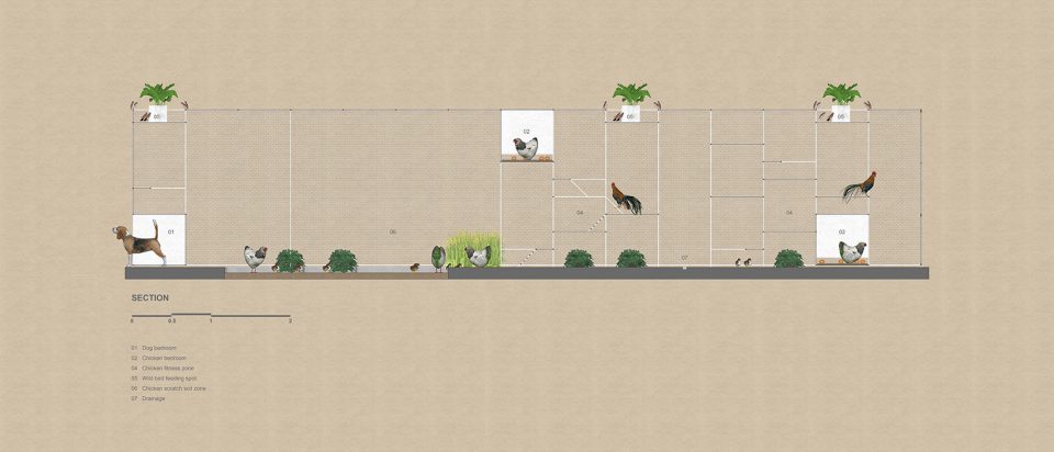 Chicken House by Tropical Space