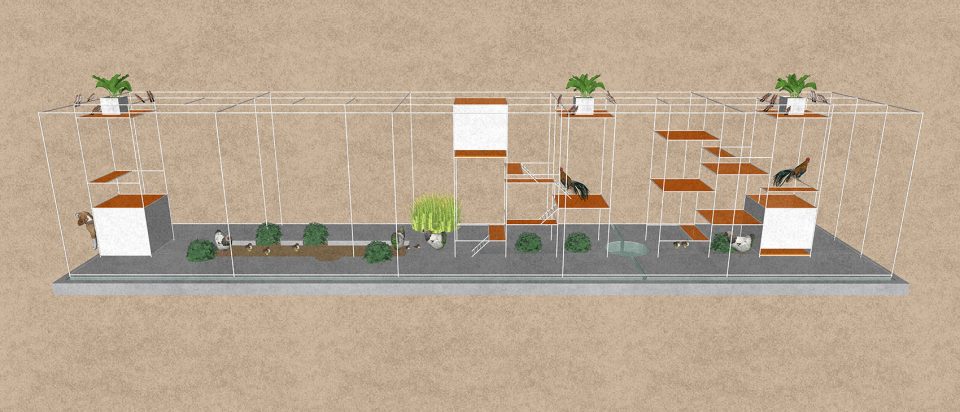 Chicken House by Tropical Space