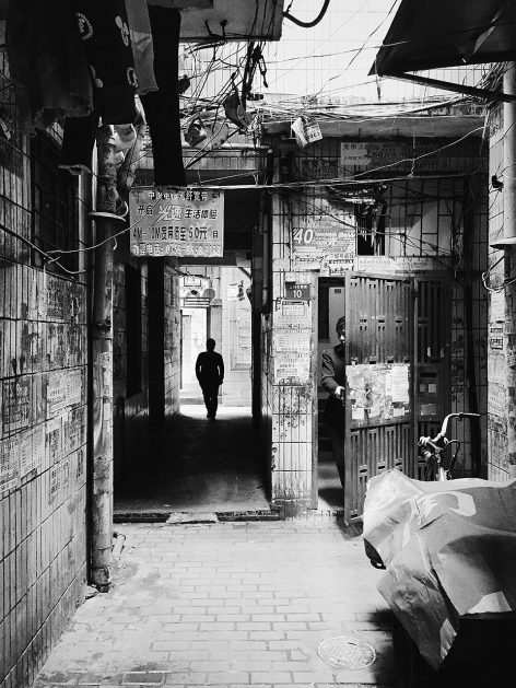under 35 wangjunfeng photography16