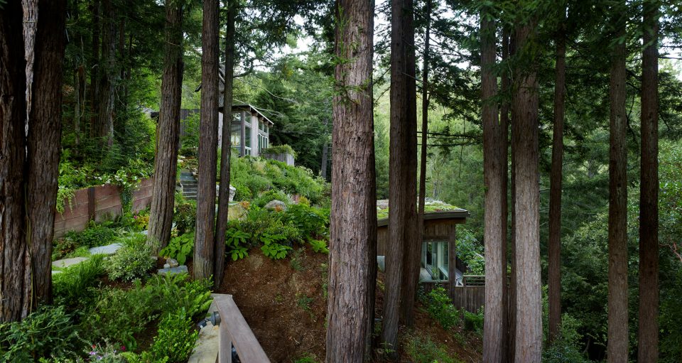 Mill Valley Cabins by Feldman Architecture