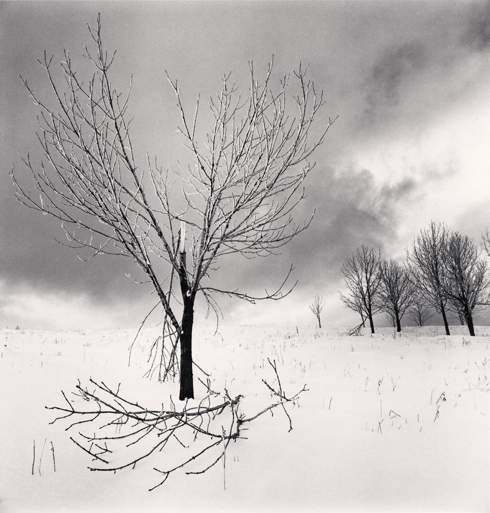 Monochromatic Landscapes by Michael Kenna
