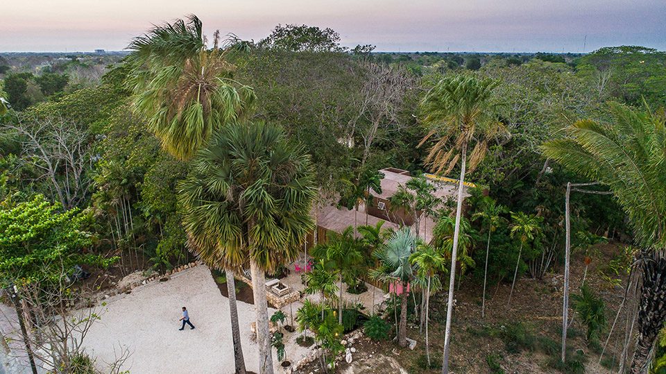 Portico Palmeto by TACO taller de arquitectura contextual