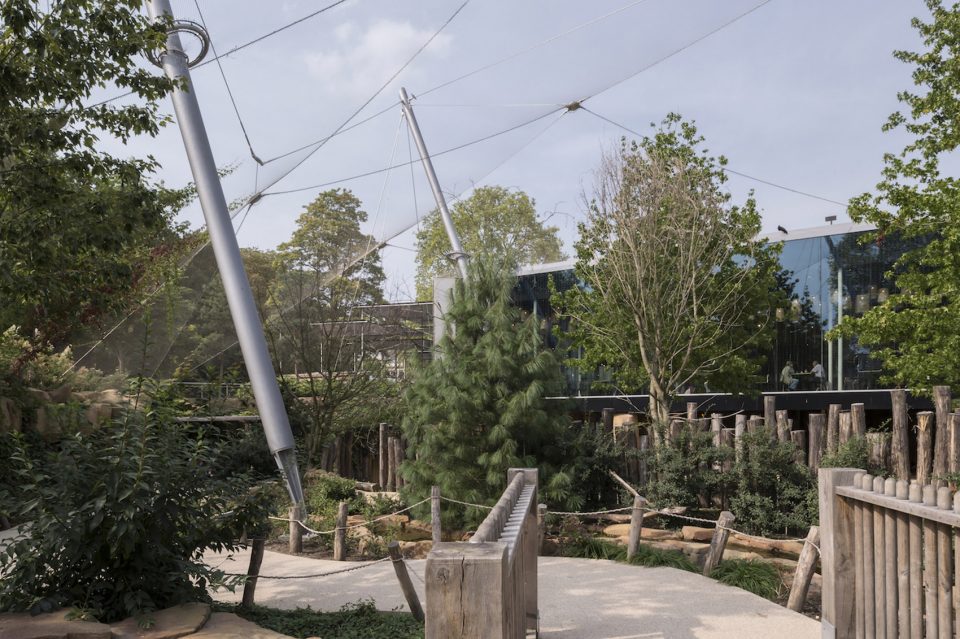 Antwerp Zoo renovation Belgium by Studio Farris Architects