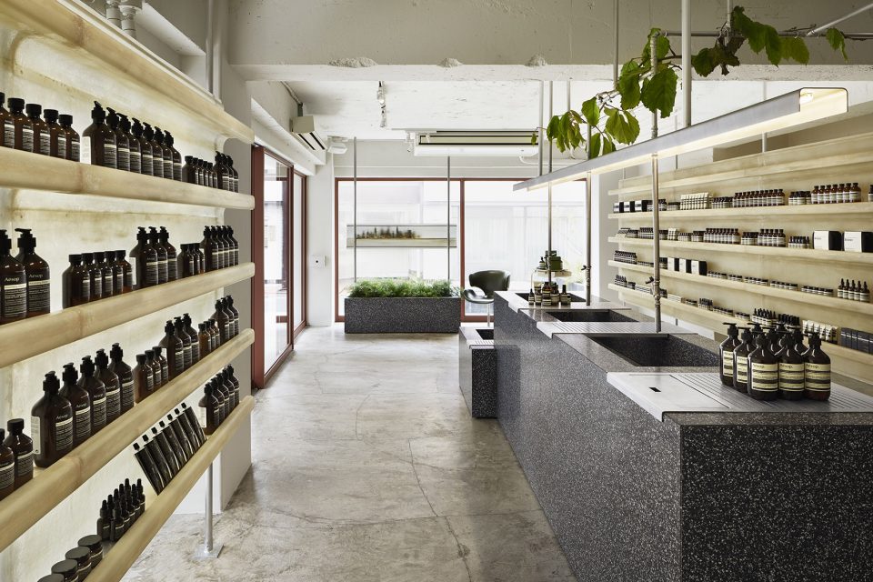 Aesop in Jiyugaoka by ciguë