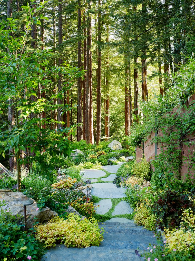 Mill Valley Cabins by Feldman Architecture