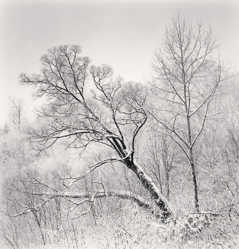 Monochromatic Landscapes by Michael Kenna