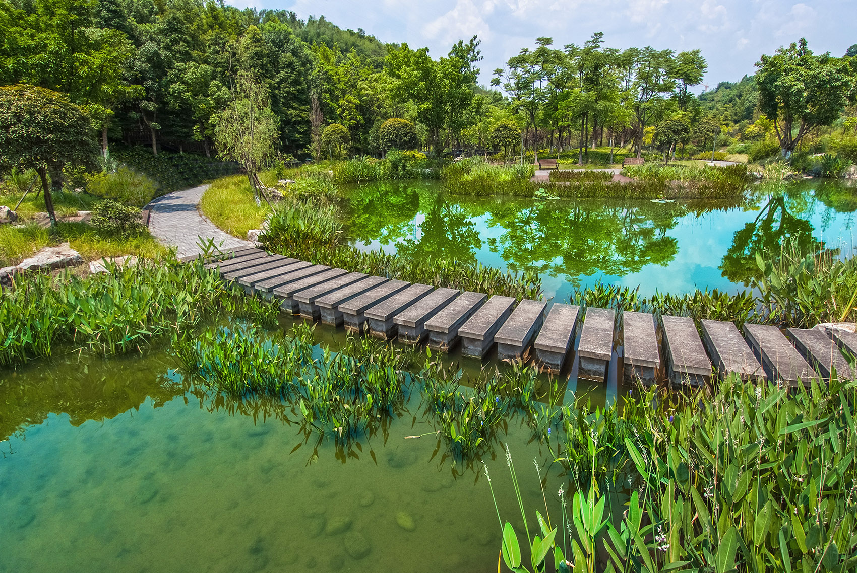 重庆园博园江南湿地公园 / 奥凡园林景观规划设计
