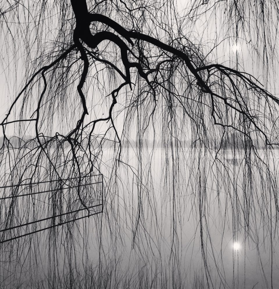 Monochromatic Landscapes by Michael Kenna