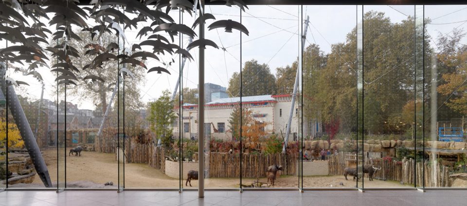 Antwerp Zoo renovation Belgium by Studio Farris Architects