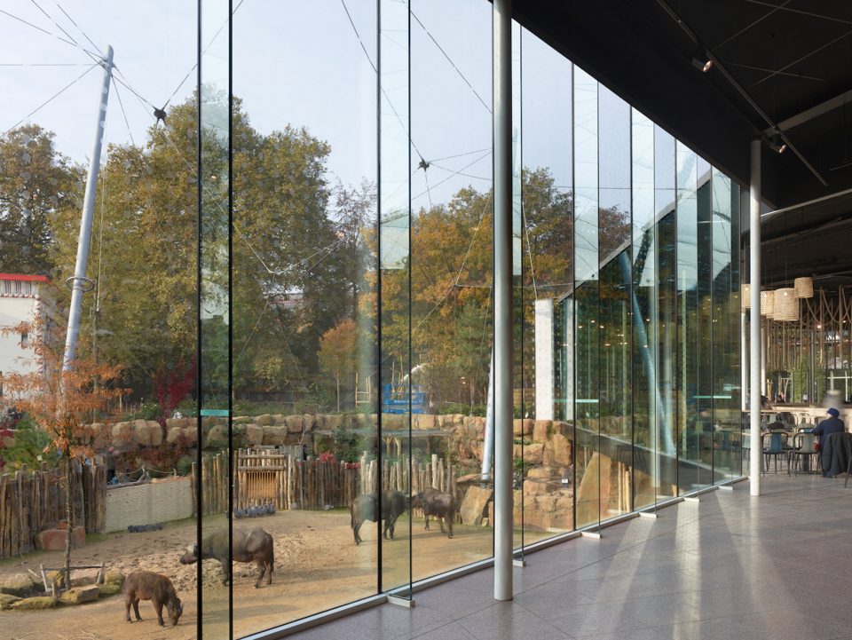 Antwerp Zoo renovation Belgium by Studio Farris Architects