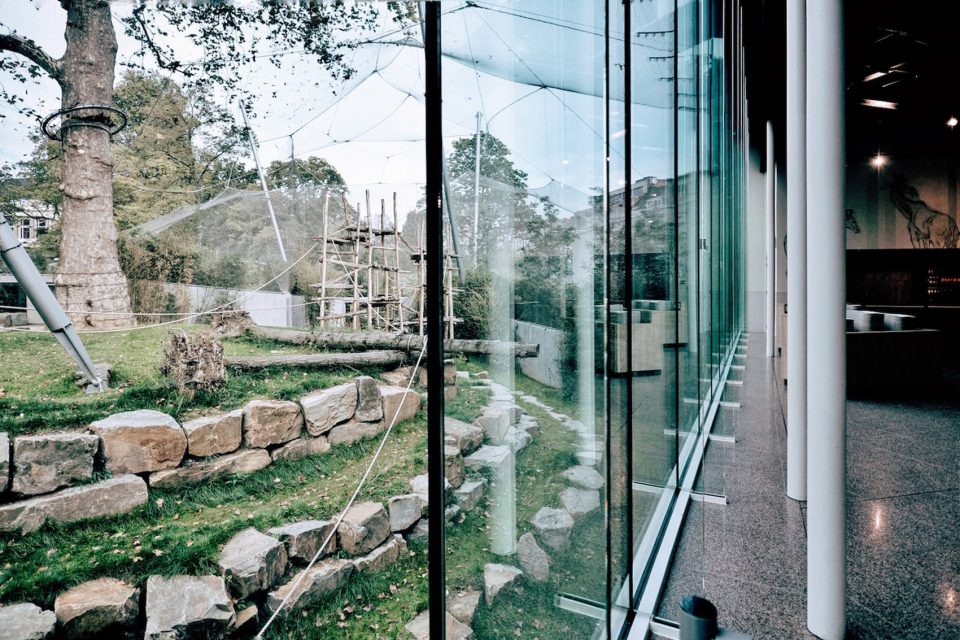 Antwerp Zoo renovation Belgium by Studio Farris Architects