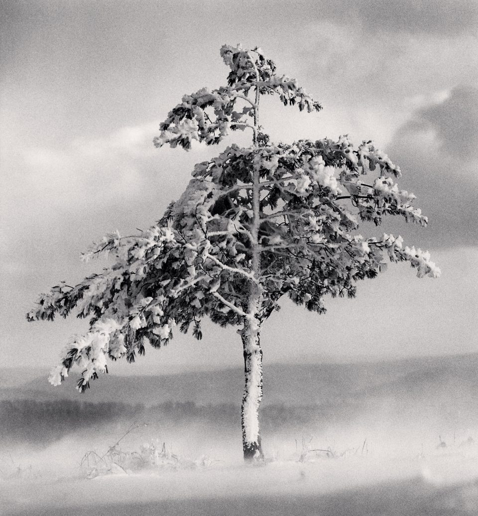 Monochromatic Landscapes by Michael Kenna