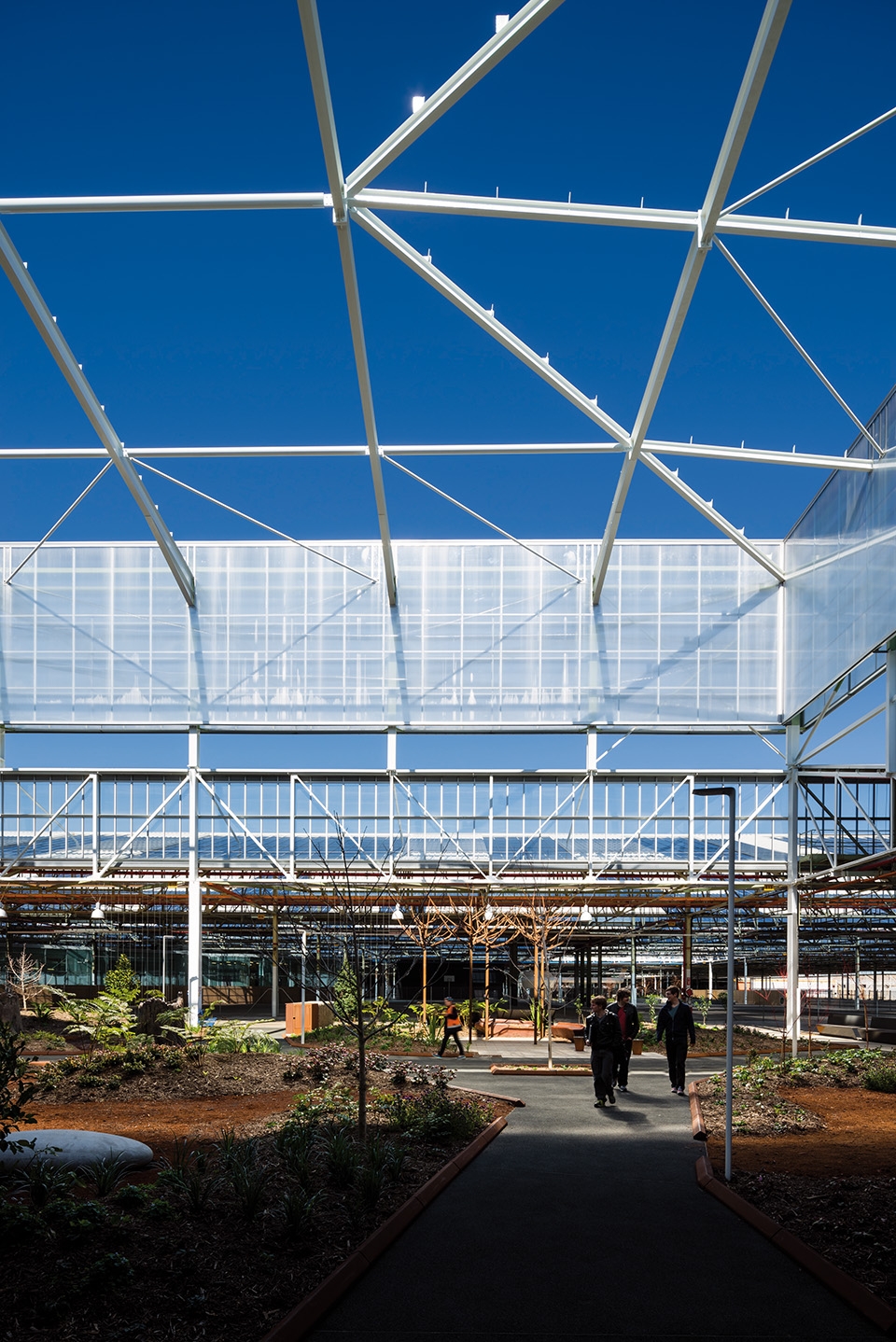 tonsley innovation district main assembly building pods by woods bagot 1