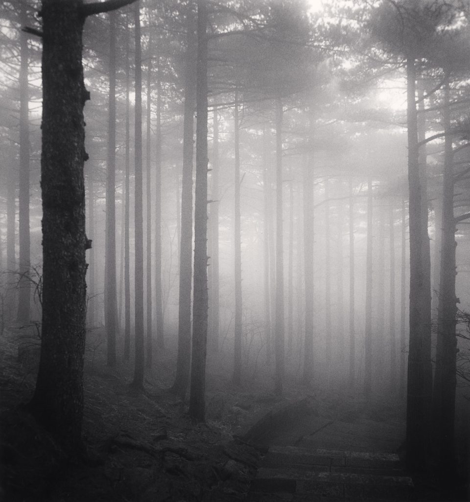 Monochromatic Landscapes by Michael Kenna