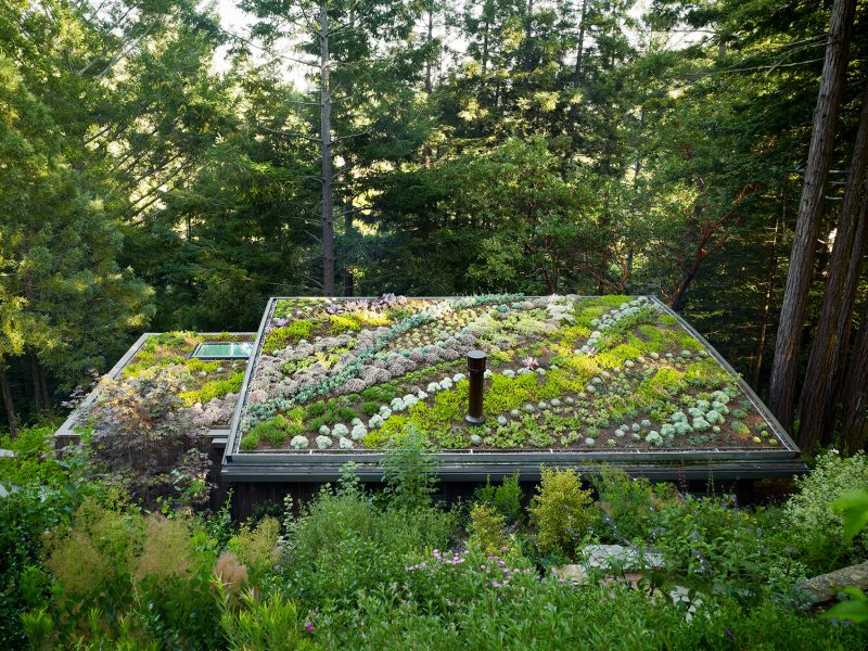 Mill Valley Cabins by Feldman Architecture