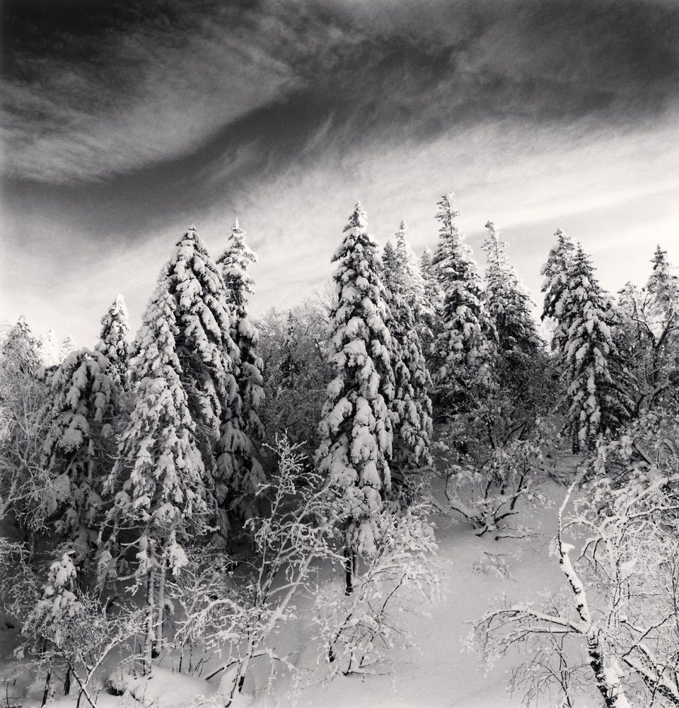 Monochromatic Landscapes by Michael Kenna