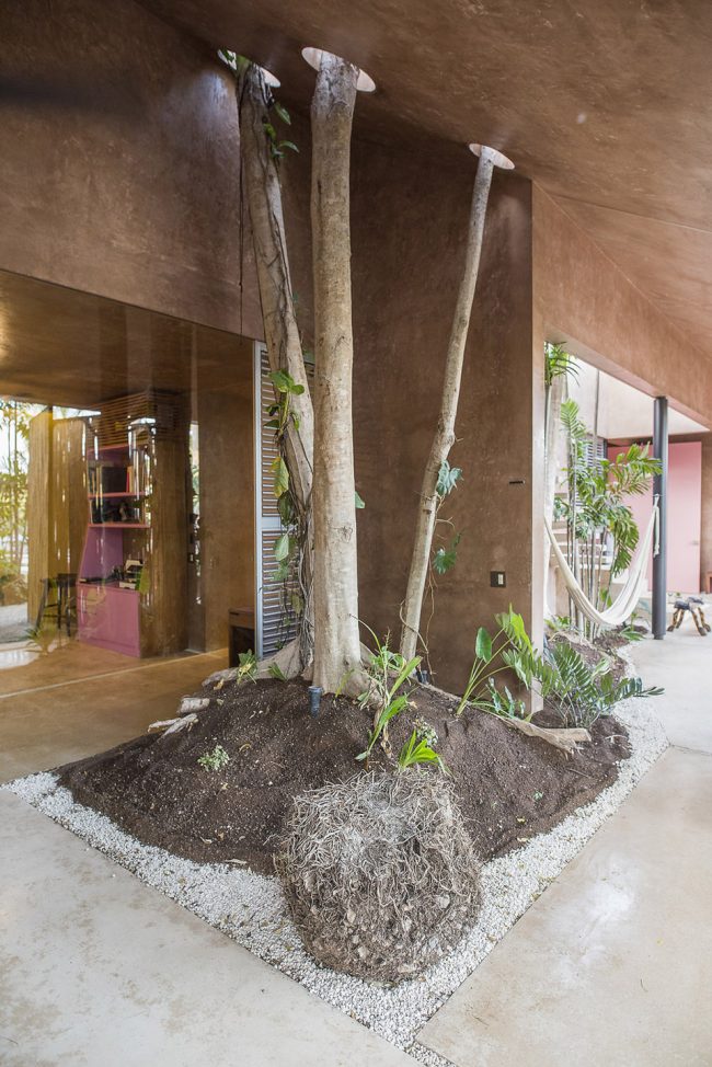 Portico Palmeto by TACO taller de arquitectura contextual