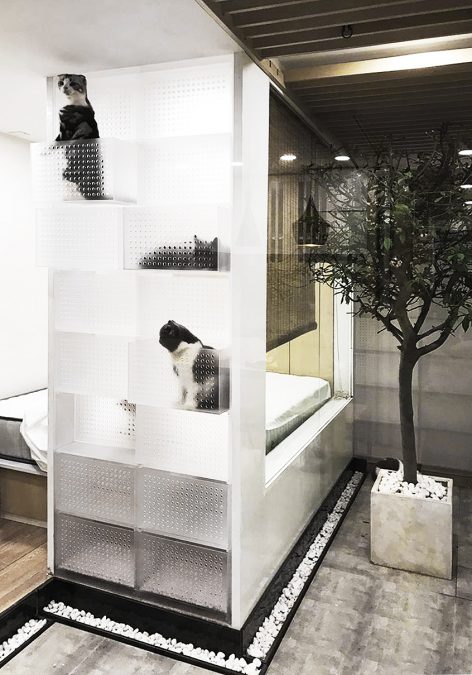 cat house china by fanaf 1