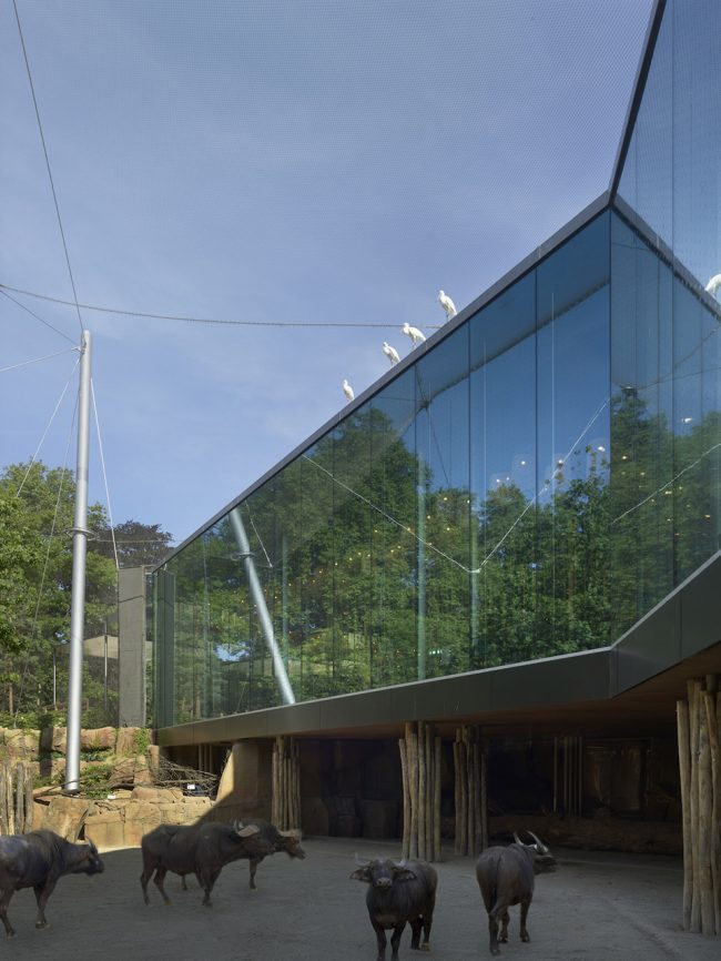 Antwerp Zoo renovation Belgium by Studio Farris Architects
