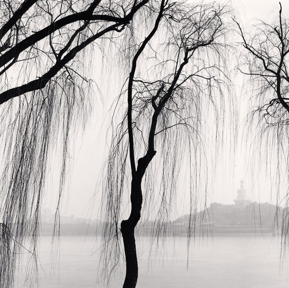 Monochromatic Landscapes by Michael Kenna