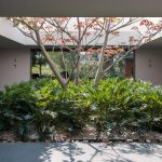 LL328住宅，墨西哥 / CDM
