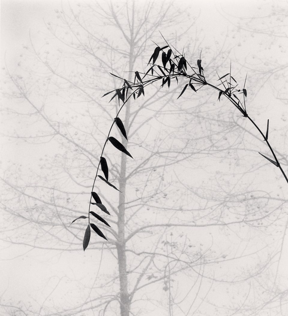 Monochromatic Landscapes by Michael Kenna