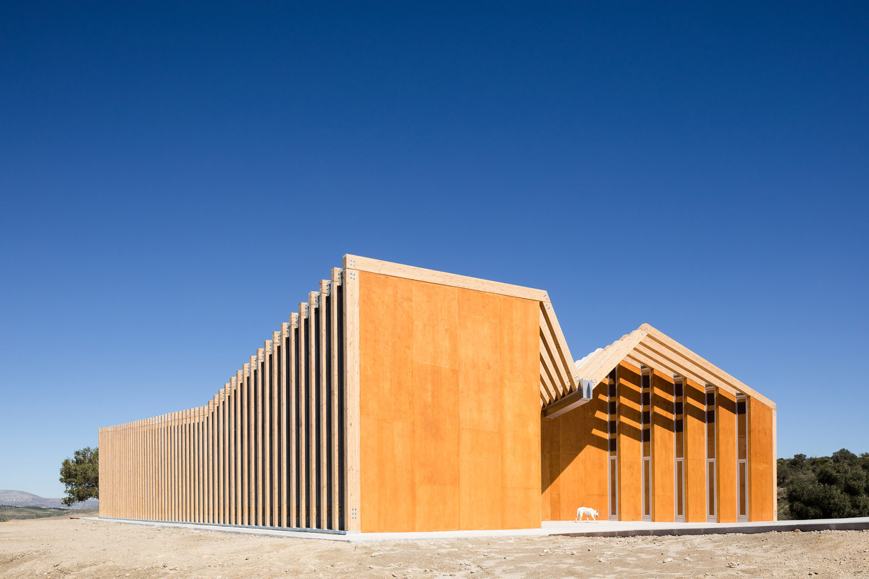 Pavilion of Reception Center by Luis Machuca & Asociados Arquitectos
