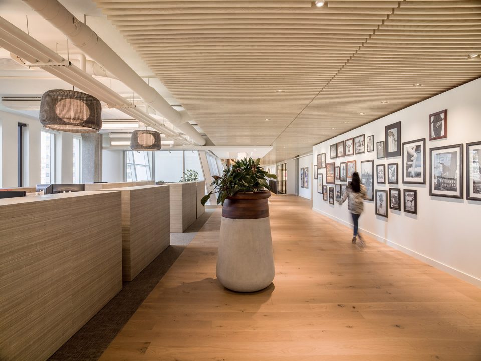 Tommy Bahama HQ by SkB Architects