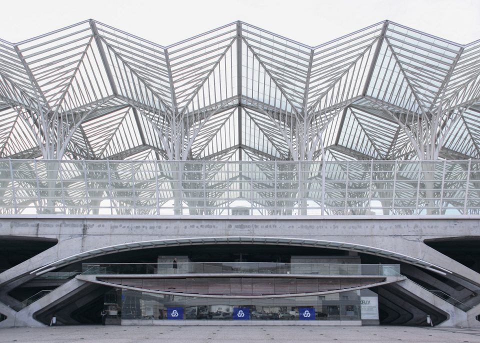 Symmetry photography by Yang Tianzhou