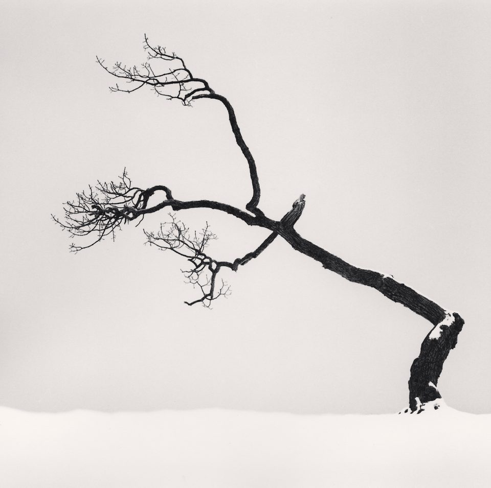 Monochromatic Landscapes by Michael Kenna