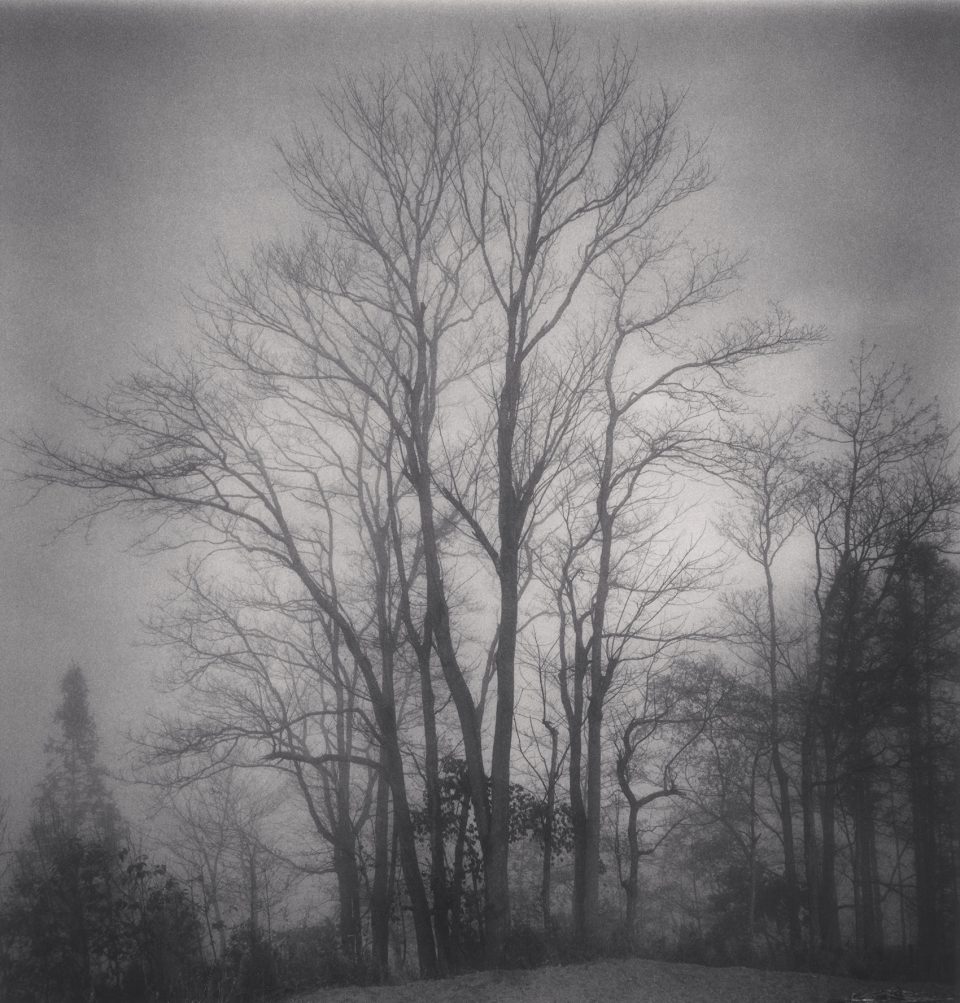Monochromatic Landscapes by Michael Kenna