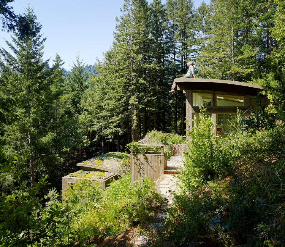 Mill Valley Cabins by Feldman Architecture