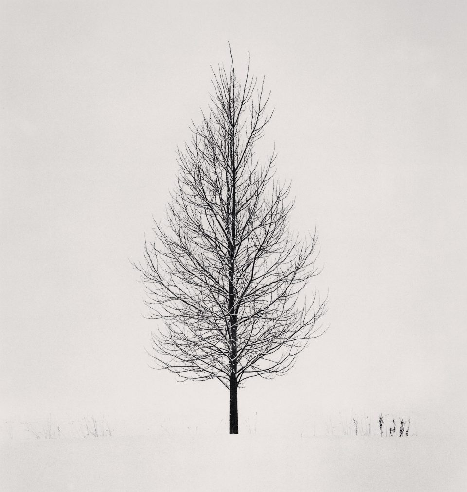 Monochromatic Landscapes by Michael Kenna