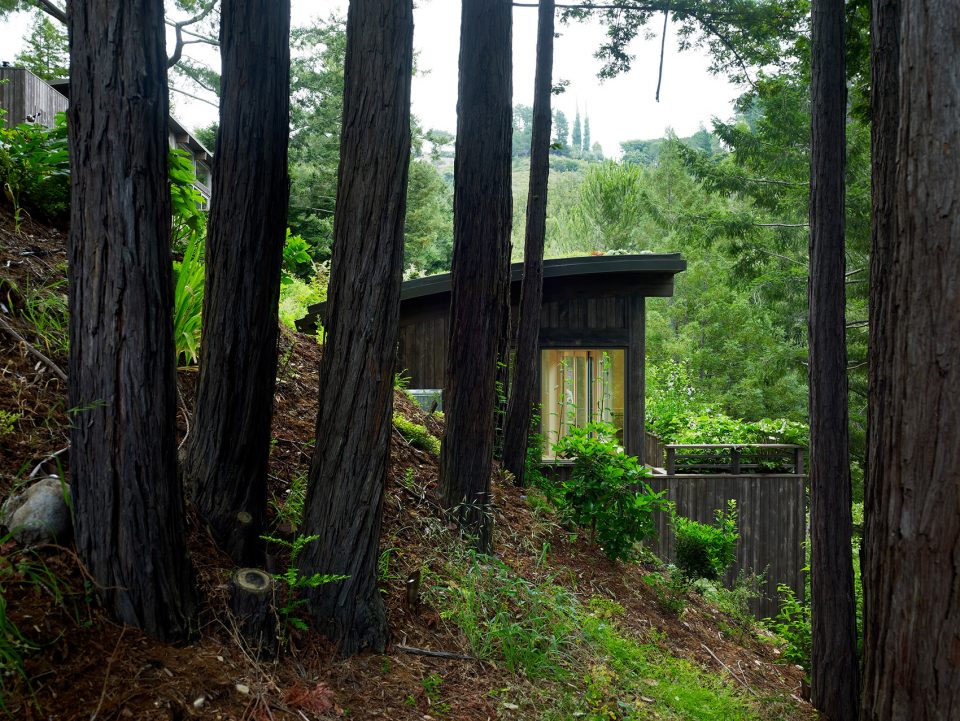 Mill Valley Cabins by Feldman Architecture