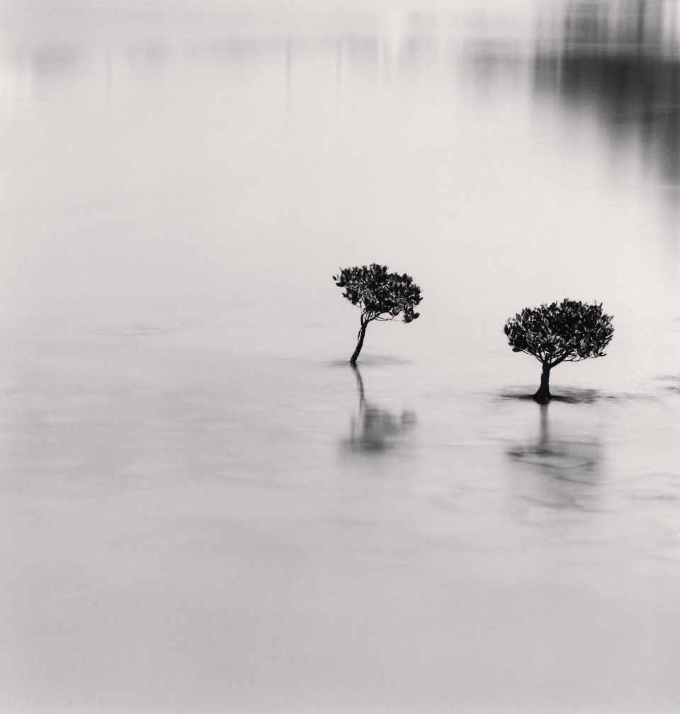 Monochromatic Landscapes by Michael Kenna