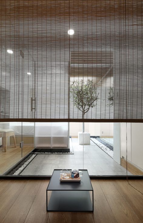 cat house china by fanaf