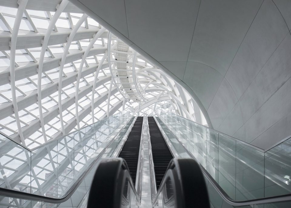 Symmetry photography by Yang Tianzhou