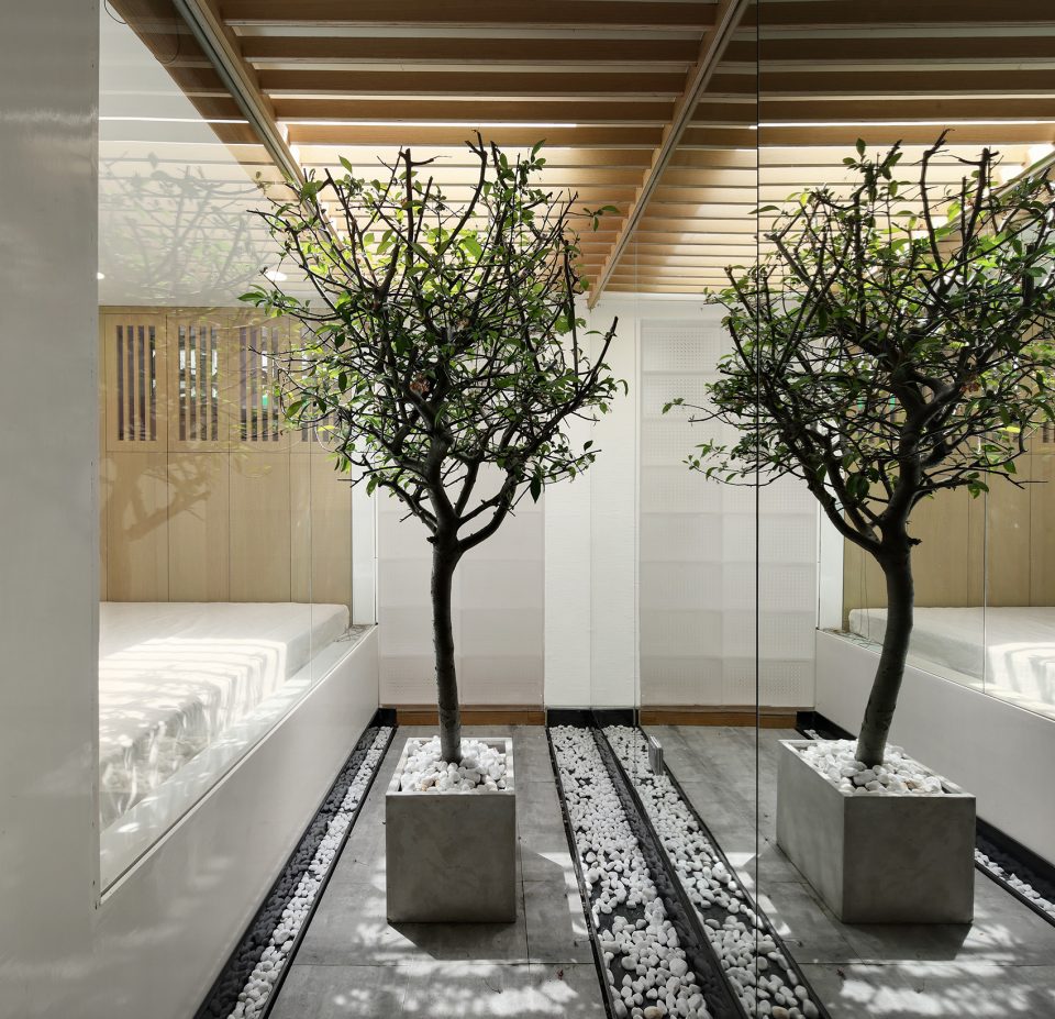 cat house china by fanaf