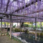 2018“人文园林杯”紫藤花园设计竞赛征集作品
