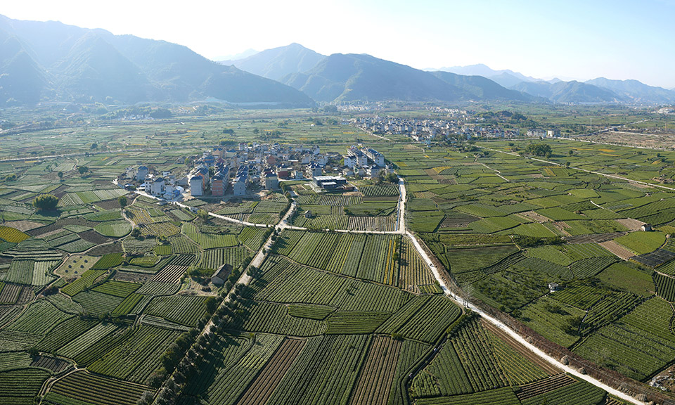 Brown Sugar Factory China by DnA Design and Architecture