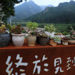 终于见到你精品民宿，北京 / 北京禾乐创意设计