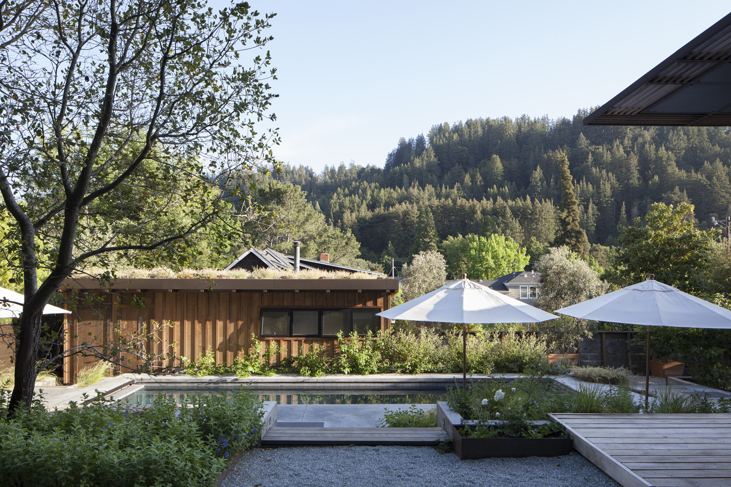 密林棚屋,美国 / feldman architecture